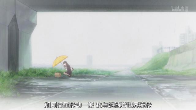 新海诚催泪杰作《她和她的猫》养猫之人的痛！