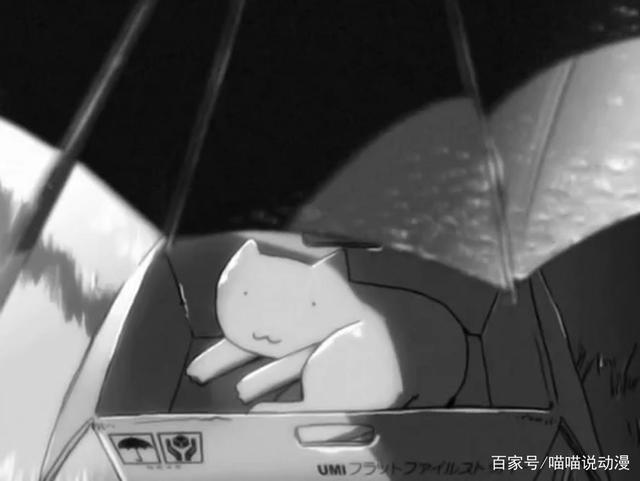 《她和她的猫》：新海诚配音的暖心动漫短剧，却隐秘地述说着分离