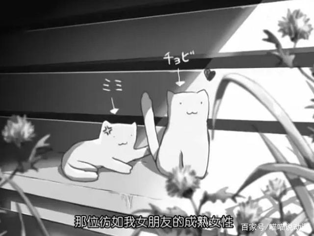 《她和她的猫》：新海诚配音的暖心动漫短剧，却隐秘地述说着分离