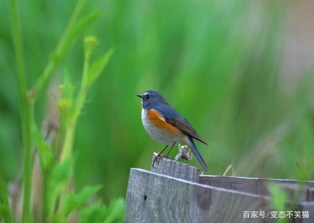 被禁的日漫神作，这样的动漫有着无法超越的深刻