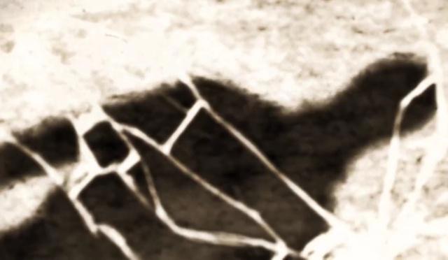 进击的巨人：动画第二季的ed伏笔被部分回收，更多谜团还未揭开