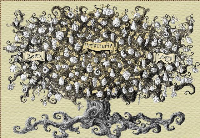 海贼王：网曝恶魔果实之谜！网友：这个我信！