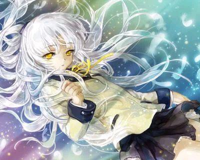 一说到白发的动漫角色，你最先想到谁？