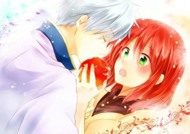赤发白雪姬：一见钟情的动漫，赤色头发的她是他的宝