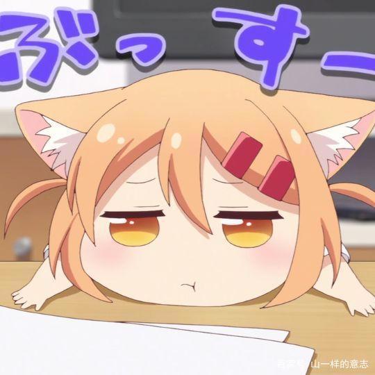 《猫咪日常》讲家猫的生活，三只萌猫撒泼打滚，百合系泡面番