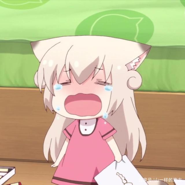 《猫咪日常》讲家猫的生活，三只萌猫撒泼打滚，百合系泡面番