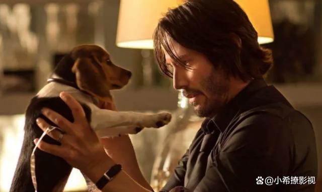 依旧很帅！《疾速追杀4》新剧照，基努·里维斯在神圣的环境中沉思