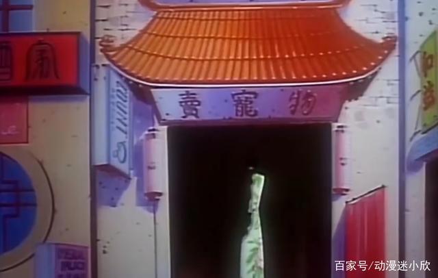 恐怖宠物店：家长溺爱的后果，少女腹部隆起3个包，生下一窝兔子