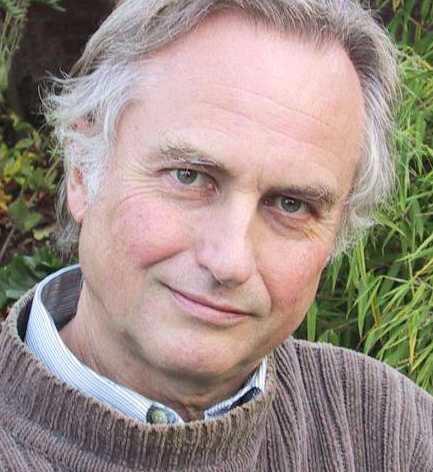 占据国人表情包爆红的背后到底是什么样的？