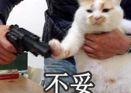 占据国人表情包爆红的背后到底是什么样的？