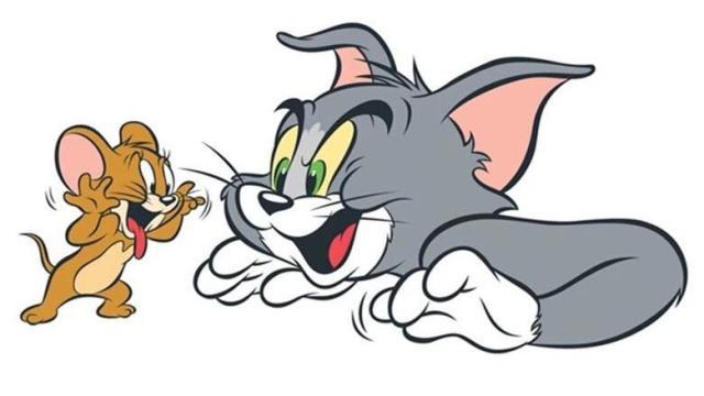 猫和老鼠：相爱相杀做邻居，一起过日子呀