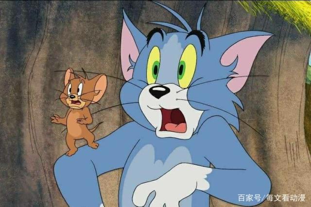 猫和老鼠：相爱相杀做邻居，一起过日子呀