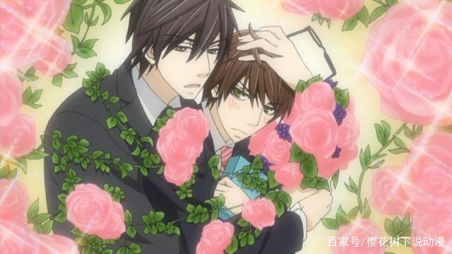 BL入门必看的纯爱动漫，第二部是国漫，最后一部是经典被全网下架