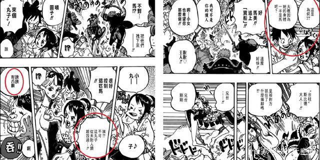 海贼王：突变！小玉刚驯服的半人马台柱失控，载着路飞找三灾杰克