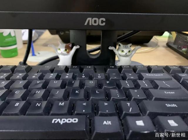 第一批00后上班30天日记曝光