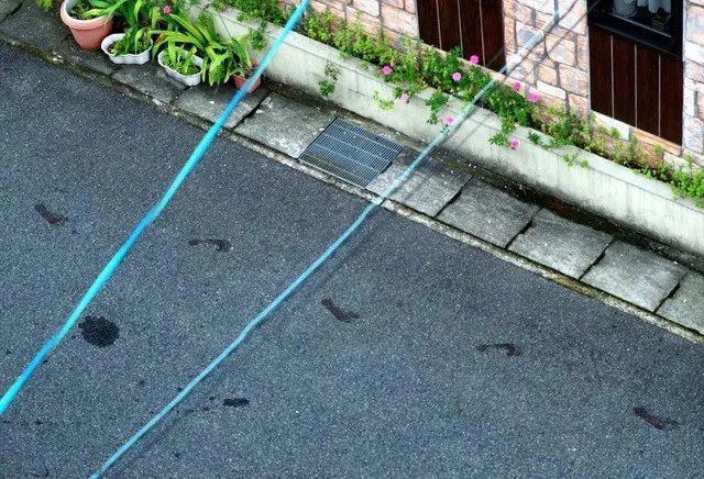 “日本最好的动画公司”遭恶意纵火，伤亡极为惨重