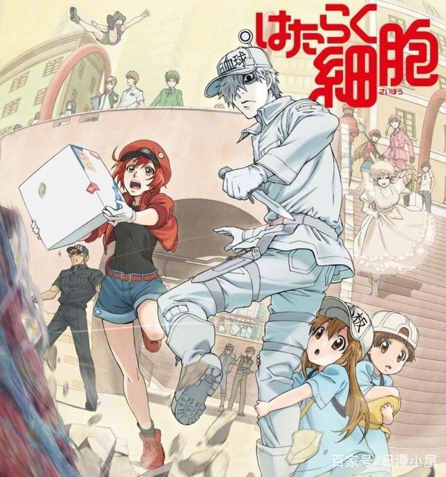 漫迷投票下周还会继续看的7月动画，工作细胞力压巨人排第一！