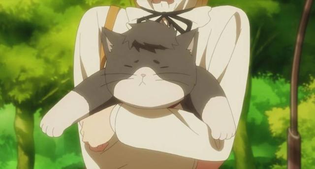 多田君不恋爱，因为他有大喵了啊