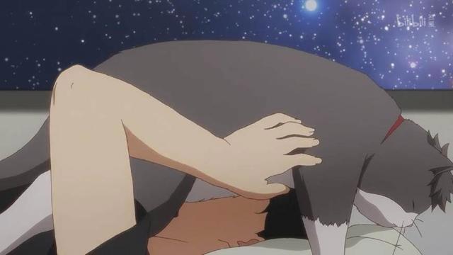 《多田君不谈恋爱》：深藏功与名的猫，终究逃不过恋爱的魔咒