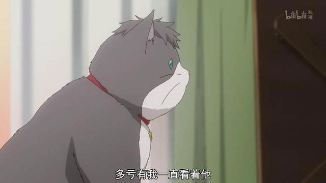 《多田君不谈恋爱》：深藏功与名的猫，终究逃不过恋爱的魔咒