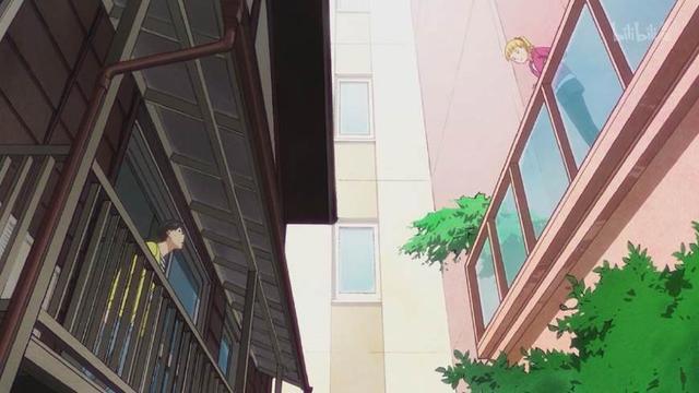 《多田君不谈恋爱》：深藏功与名的猫，终究逃不过恋爱的魔咒