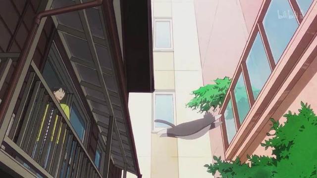 《多田君不谈恋爱》：深藏功与名的猫，终究逃不过恋爱的魔咒