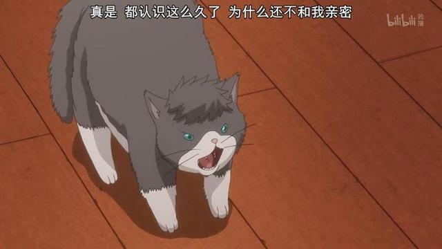 《多田君不谈恋爱》：深藏功与名的猫，终究逃不过恋爱的魔咒