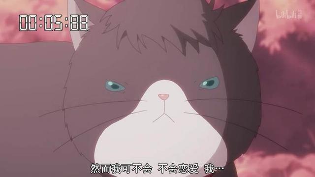 《多田君不谈恋爱》：深藏功与名的猫，终究逃不过恋爱的魔咒