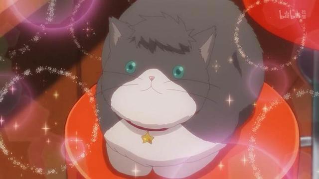 《多田君不谈恋爱》：深藏功与名的猫，终究逃不过恋爱的魔咒