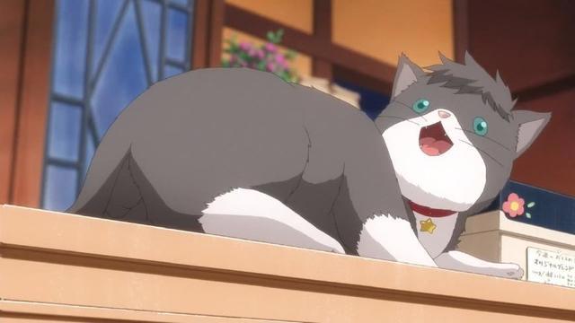 多田君不恋爱：我永远也不会忘记的