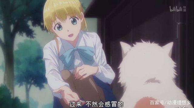 多田君不恋爱？这部四月番的名字本身就是四月的谎言吧？