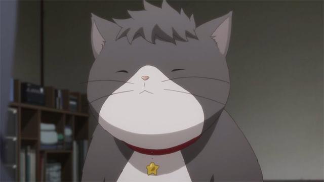 《多田君不恋爱》最佳结婚男性角色是伊集院