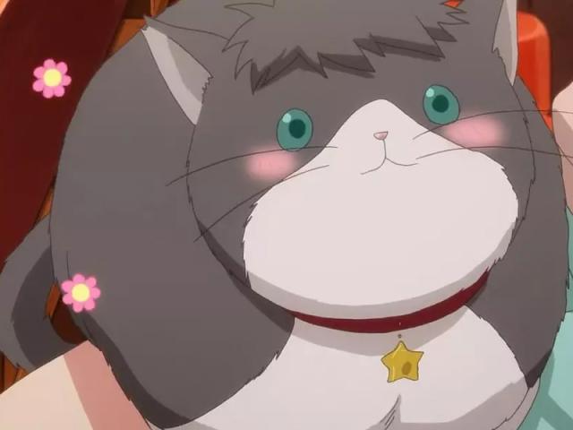 《多田君不恋爱》，美丽耀眼的邂逅，罗马假日的王道展开