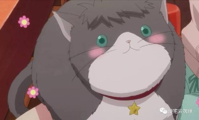 《多田君不恋爱》，对单身狗的暴击！