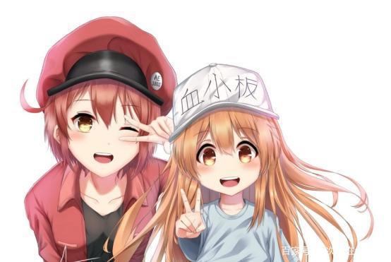 盘点：谣传下架的4部动漫，邪神单挑小女生，天天被揍扑街