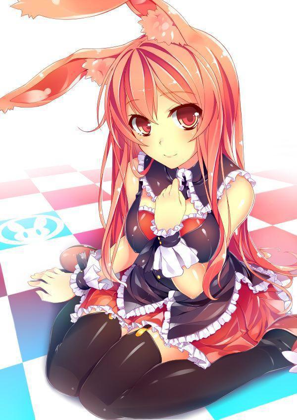 6位动漫中召唤男主到异世界的各种美少女们，你最希望被谁召唤？