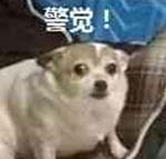 「宅科学」为什么一提到冈田磨里，大家就会胃痛？