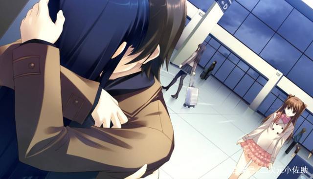 喜欢选“老婆”？满足你！5部“炒股”番，哪一个老婆是你的最爱