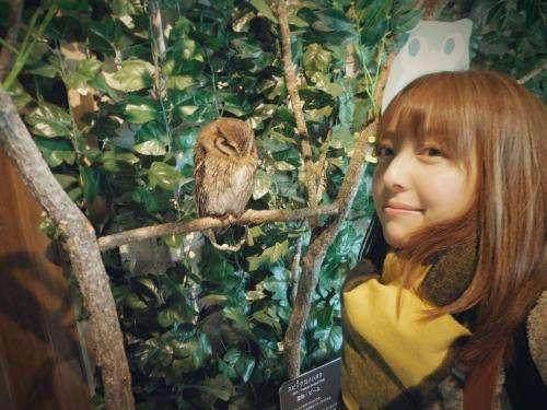 二次元声音合集，动漫声优大盘点（第一期）