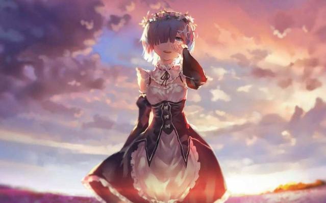 近年的最优秀日本动漫女主罗列。亚丝娜、saber？