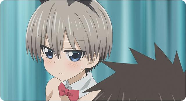 宇崎酱：真一的厨艺被笑话，主动向月小姐学习，小花化身小兔子