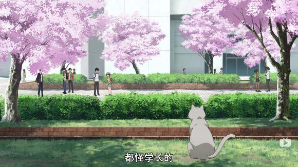 超大欧派《宇崎酱想要玩耍》，七月新番你看了吗？