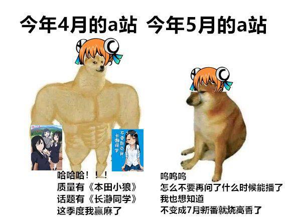 这次四月新番“A站”完败，长瀞同学迟迟不上映，就因为制度改变