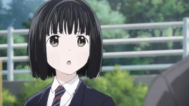 《本田小狼与我》a站没法播的番，竟然在某站出现，蜀黍又赢了