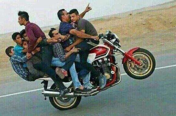 《本田小狼与我》被专业人士‘出警’，网友：那银时他们呢