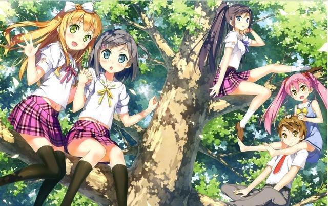 动漫：不得不看的后宫番剧，记得戴上耳机看！