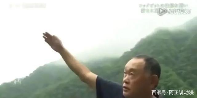 这个沙雕番的女主，原型取材于现实中最惨烈的空难