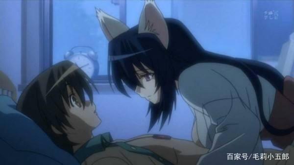 爽爽爽！虽说下面几部动漫有些尺度过大，但都是后宫动漫神作！