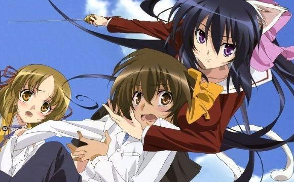 动漫中那些想要逆推男主角的兽耳娘，兽耳娘赛高！