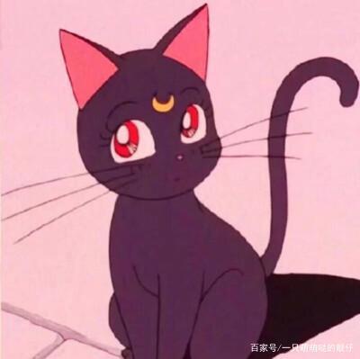 日本动漫中那些猫角色，你知道多少？